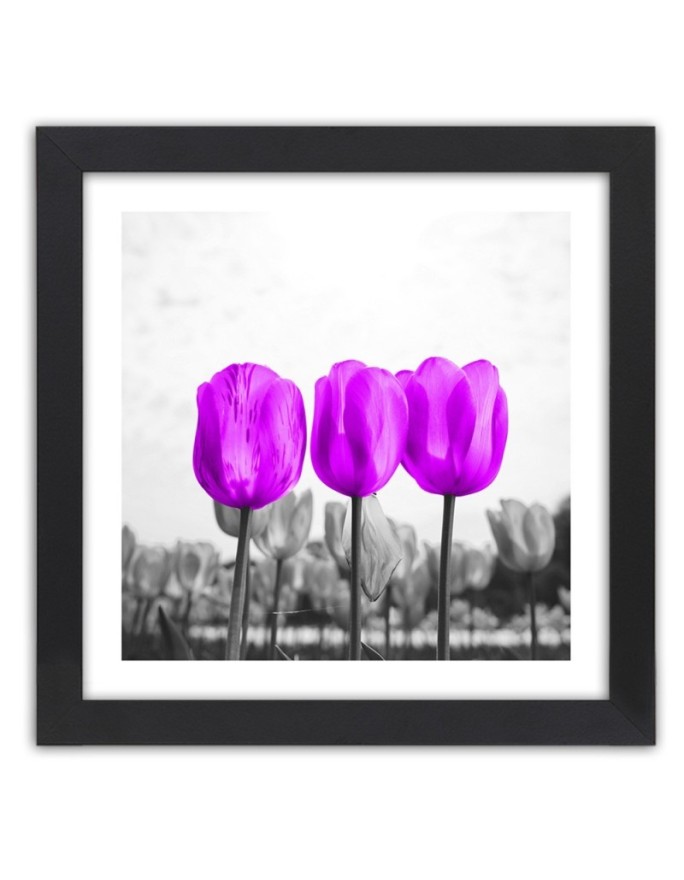 Poster Purple tulips nature