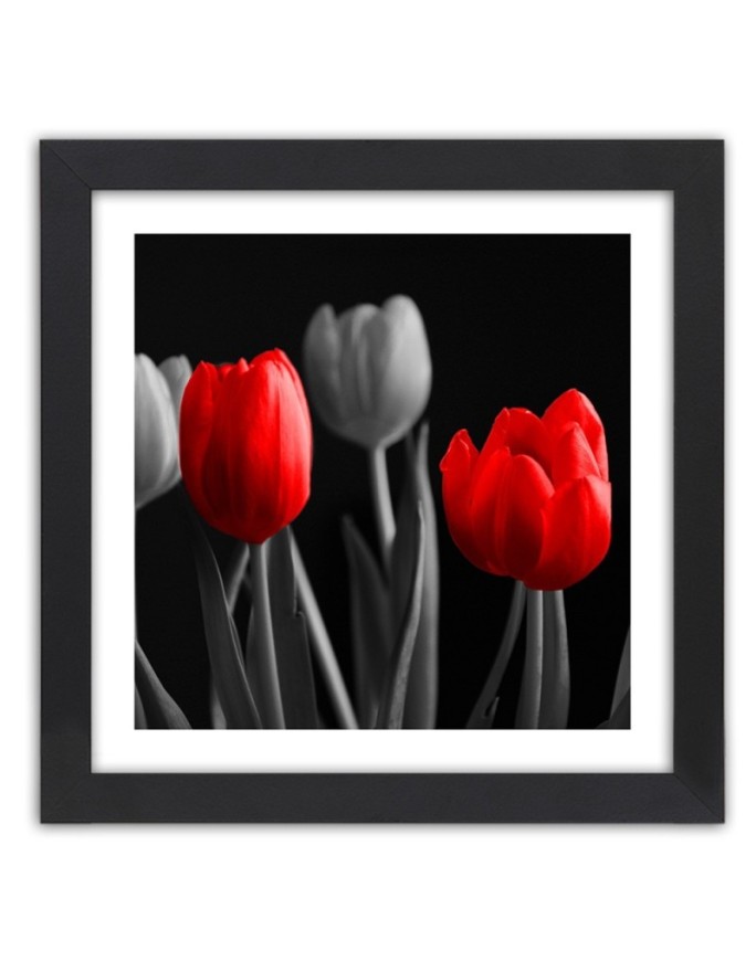 Poster Red tulips