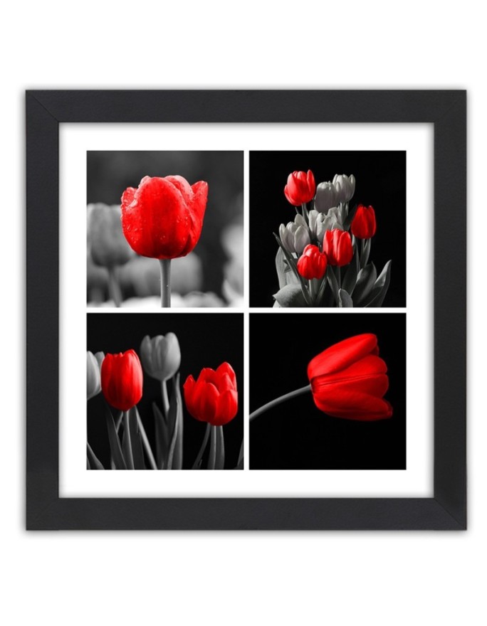 Poster Collage of red tulips