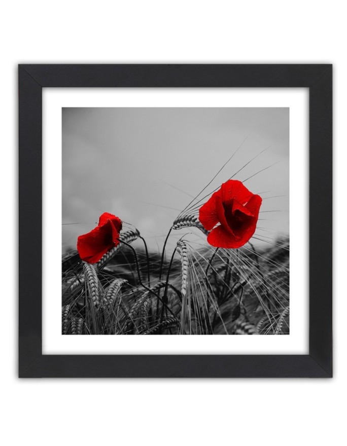 Poster Red poppies in the...