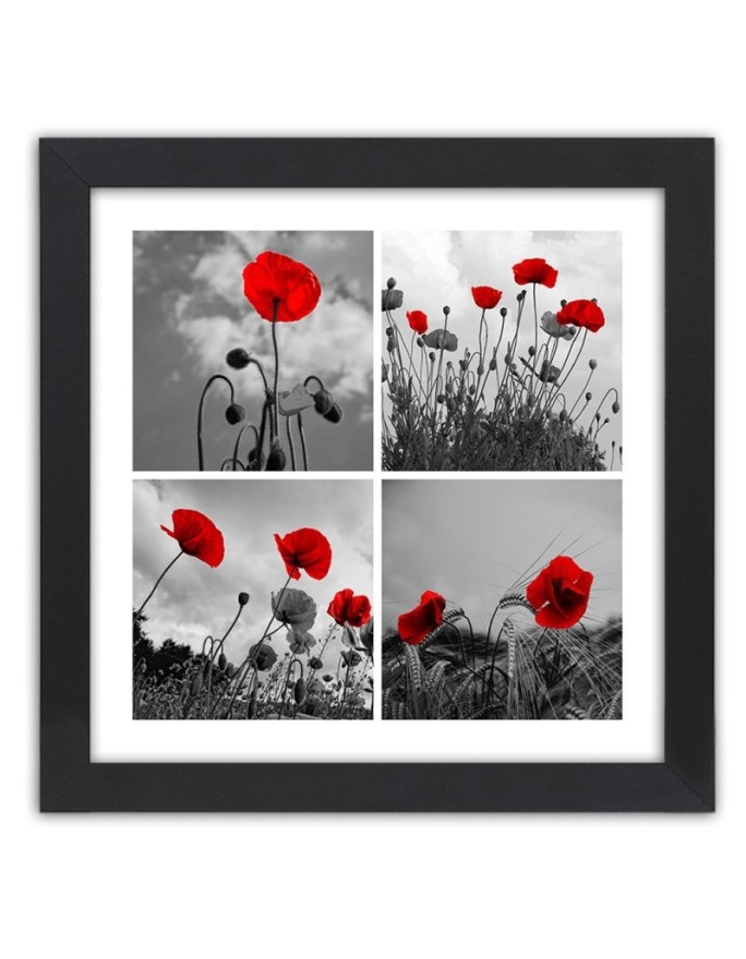 Poster Red poppies