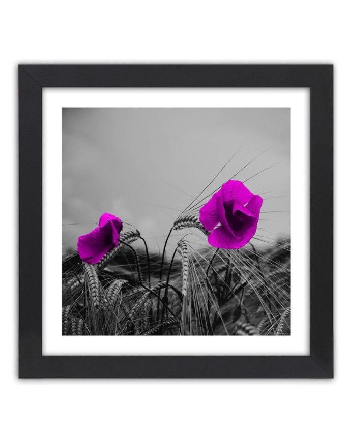 Poster Purple poppies and...