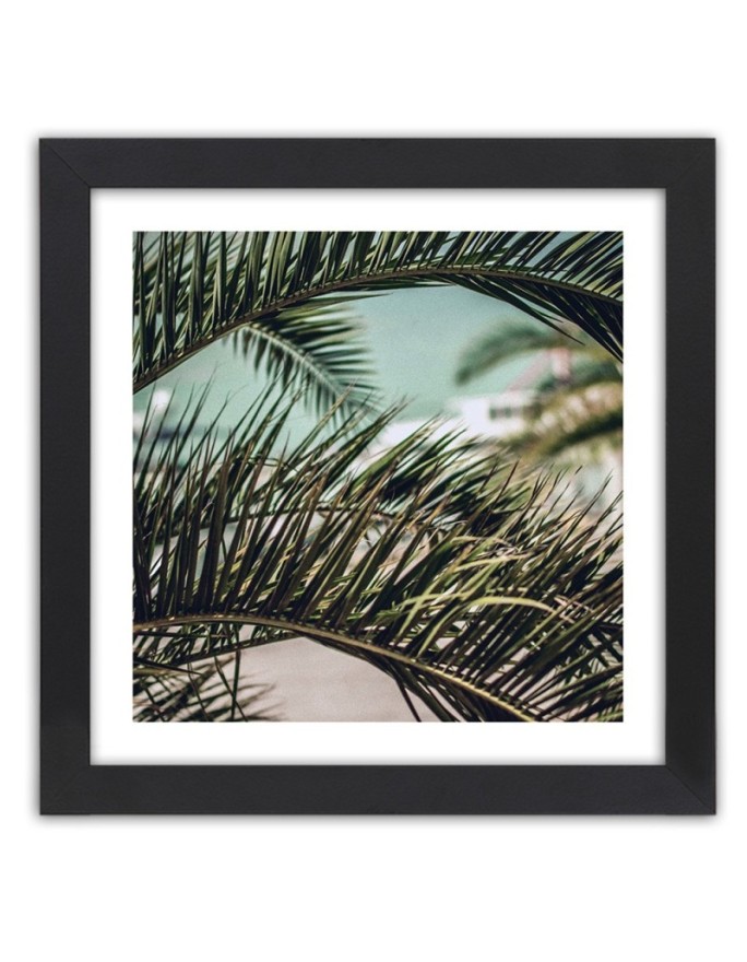 Poster Palm leaves