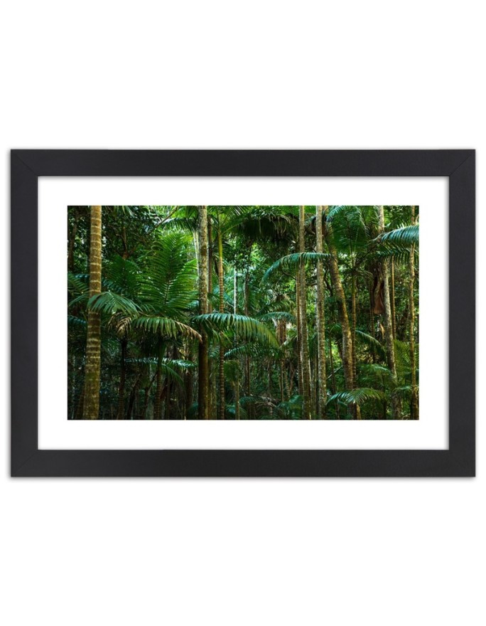 Poster Green tropical forest