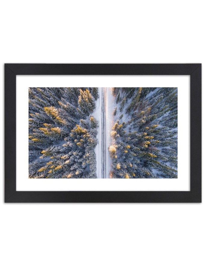 Poster Winter forest from a...