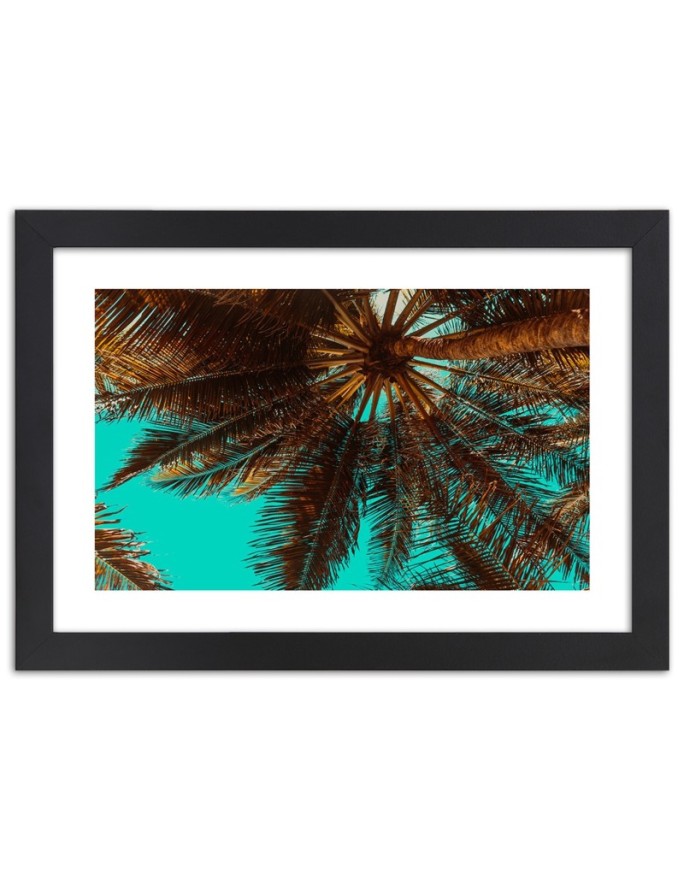 Poster Palm tree in...