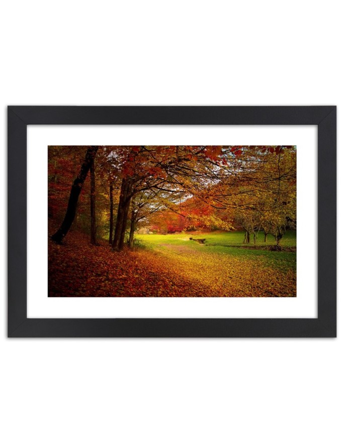 Poster Forest autumn glade