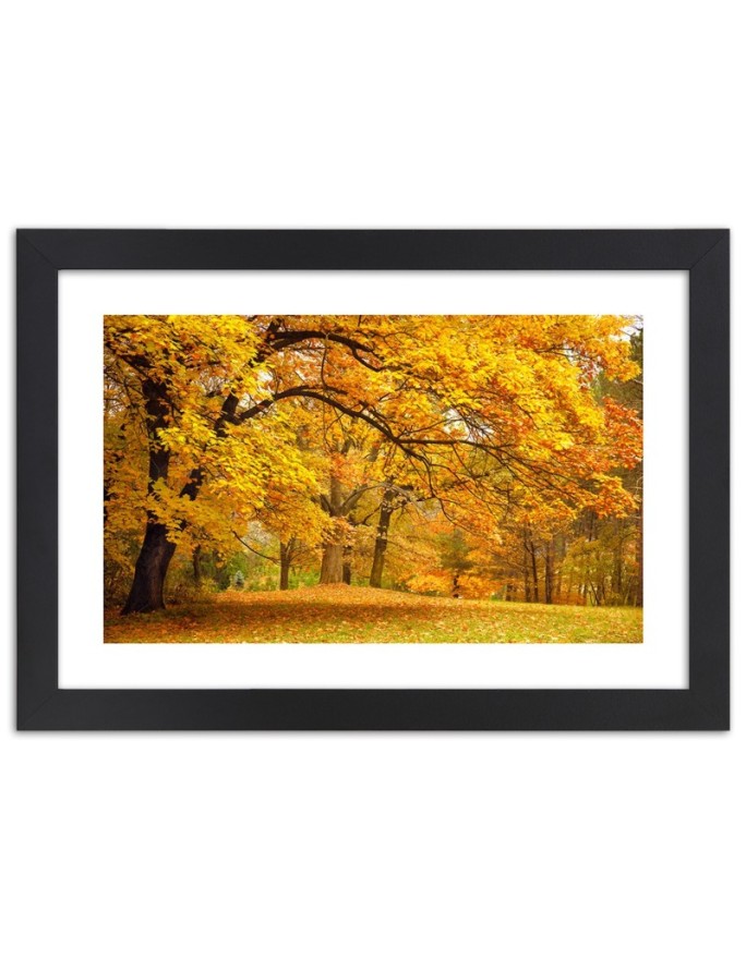 Poster Yellow autumn trees