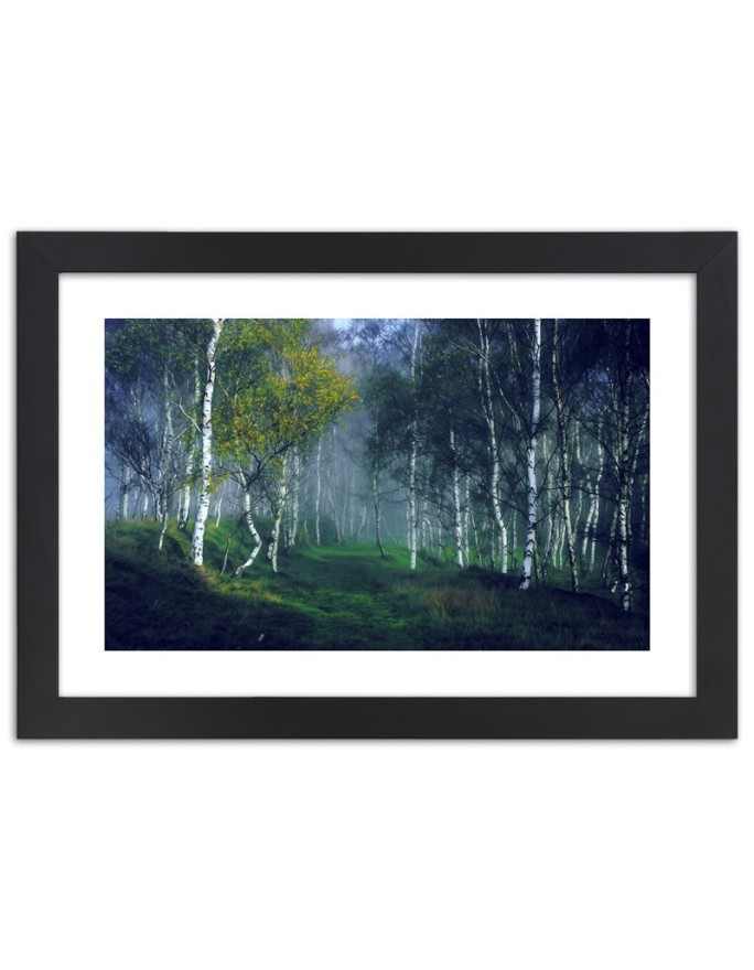 Poster Birch forest in the...