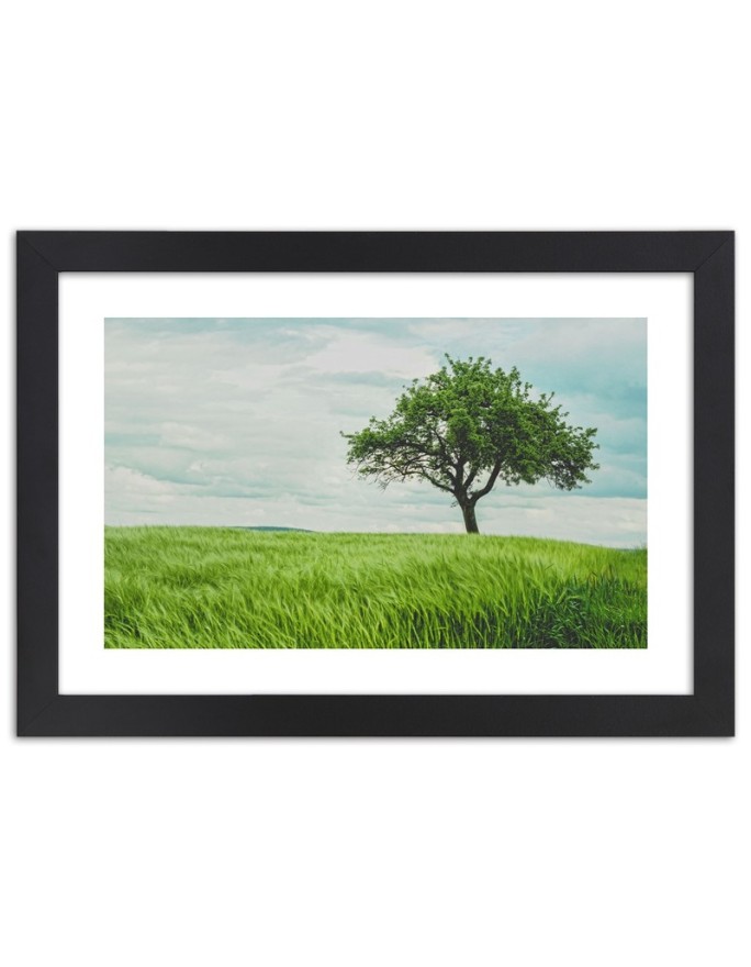 Poster Green tree in a field