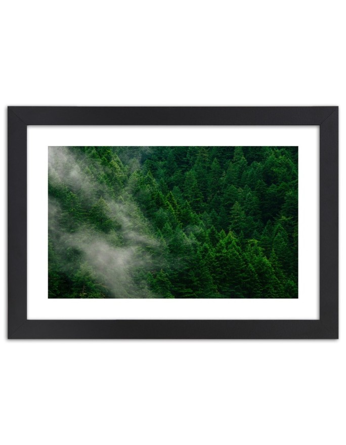 Poster Forest in fog landscape