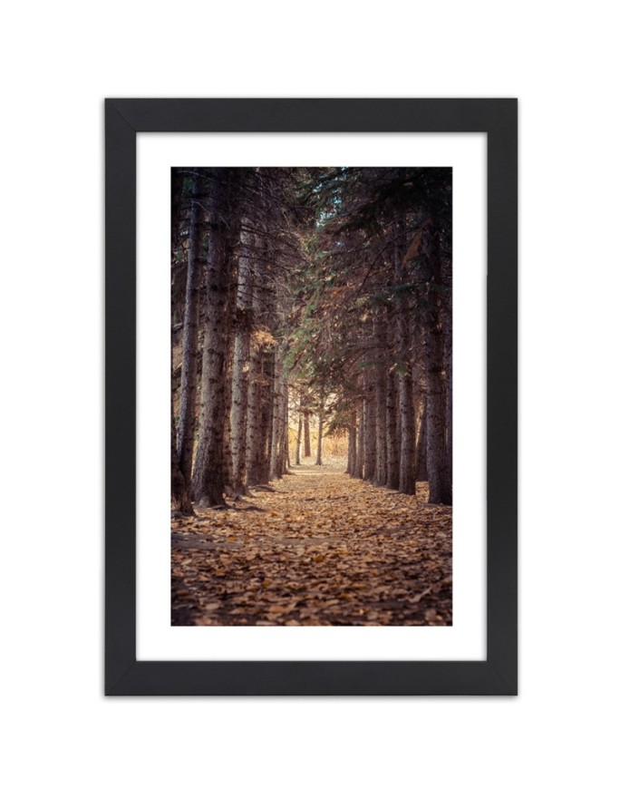 Poster Autumn forest landscape