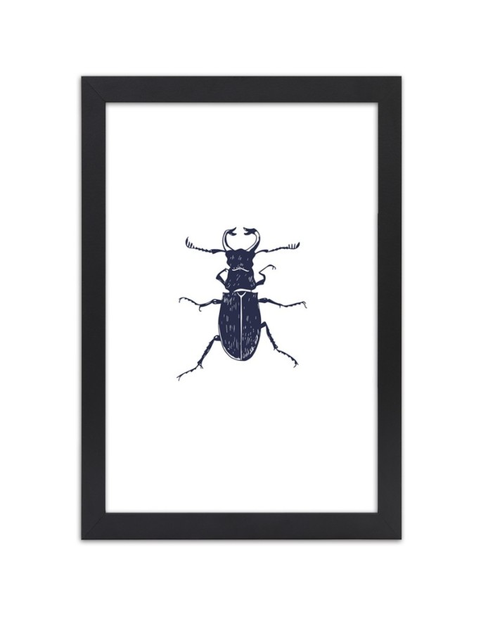 Poster Black beetle