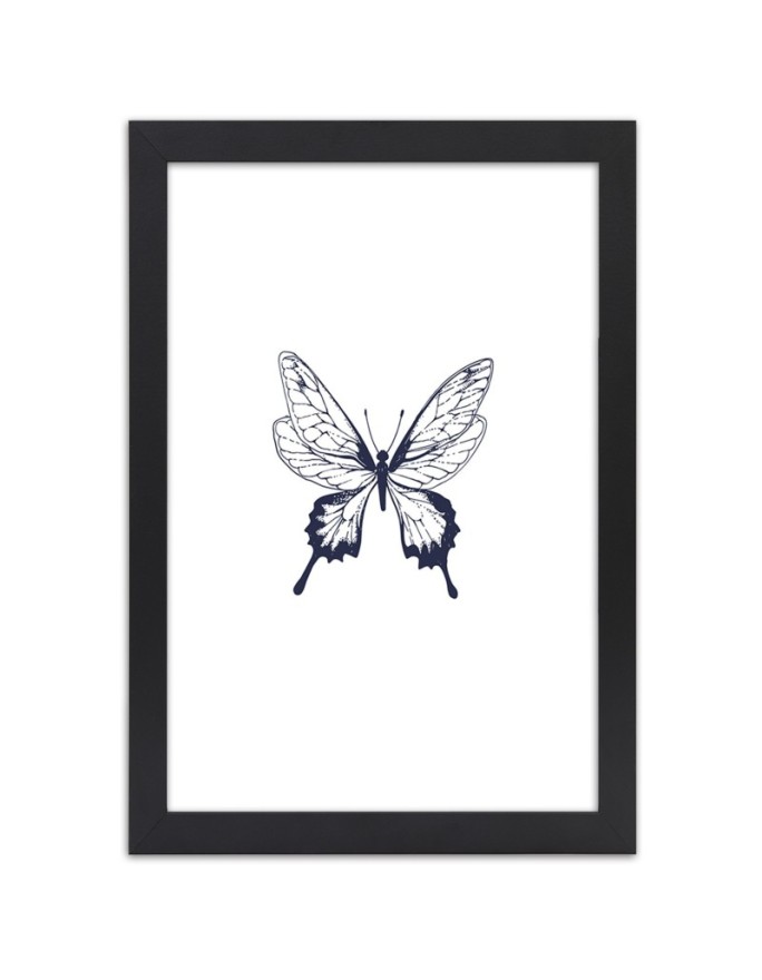 Poster Butterfly insect