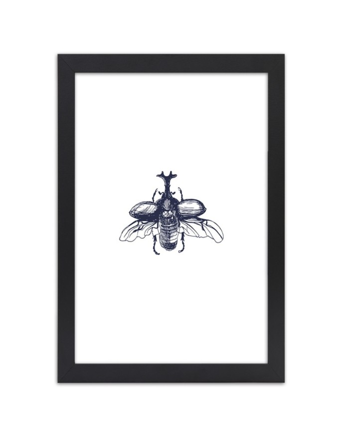 Poster Beetle insect