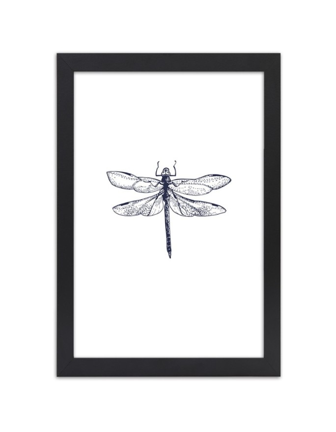 Poster dragonfly insect