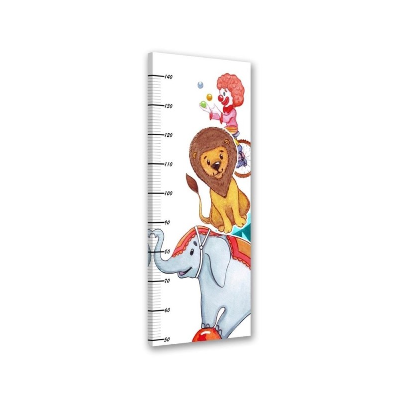 Growth Measure Clown and animals
