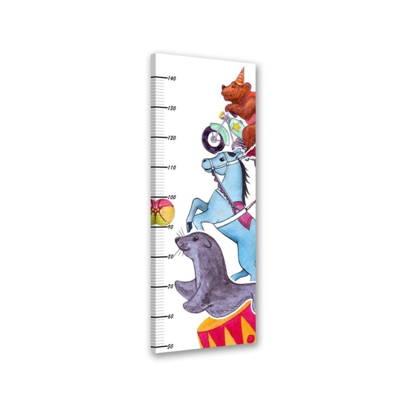 Growth Measure Circus animals