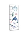 Growth Measure Marine animals