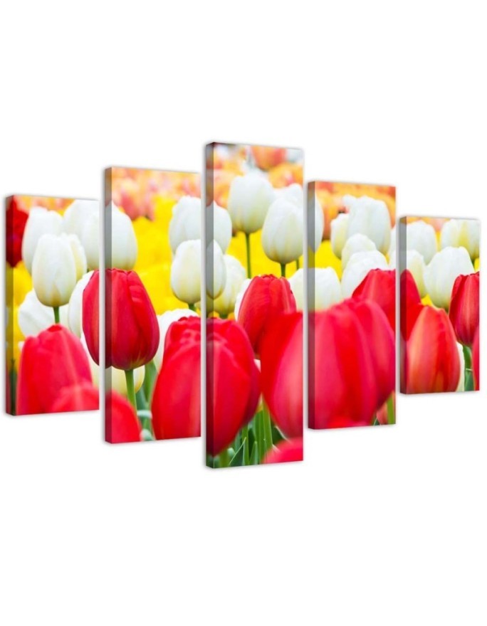 5 Piece Canvas print White and red tulips | FEEBY