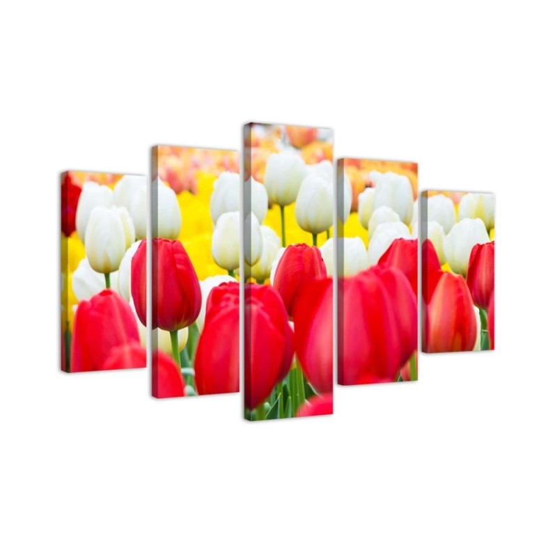 5 Piece Canvas print White and red tulips | FEEBY