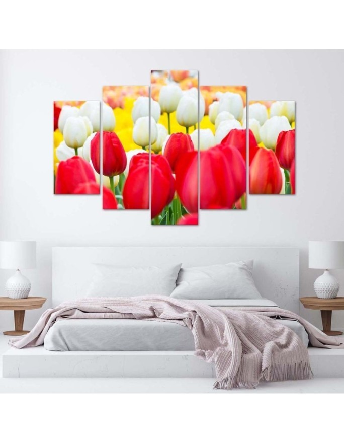 5 Piece Canvas print White and red tulips | FEEBY