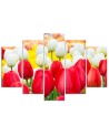 5 Piece Canvas print White and red tulips | FEEBY