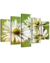 Daisies white flowers wall art painting for living room | FEEBY