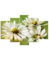 Daisies white flowers wall art painting for living room | FEEBY