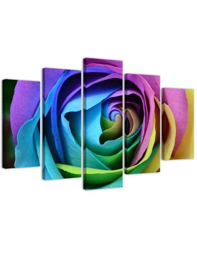 Colourful rose wall art painting for living room, bedroom | FEEBY