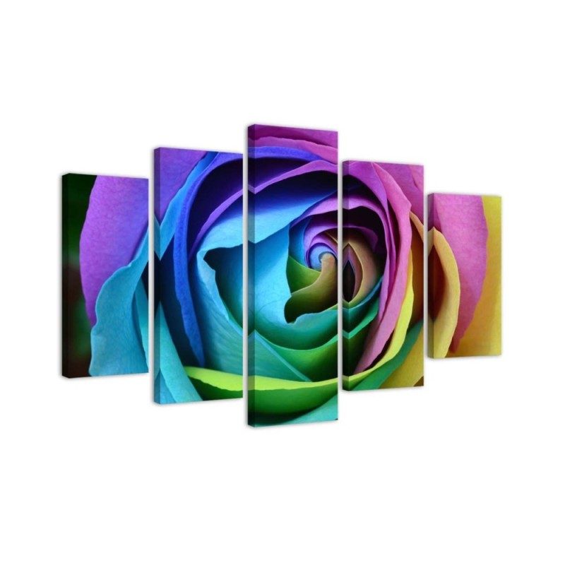 Colourful rose wall art painting for living room, bedroom | FEEBY