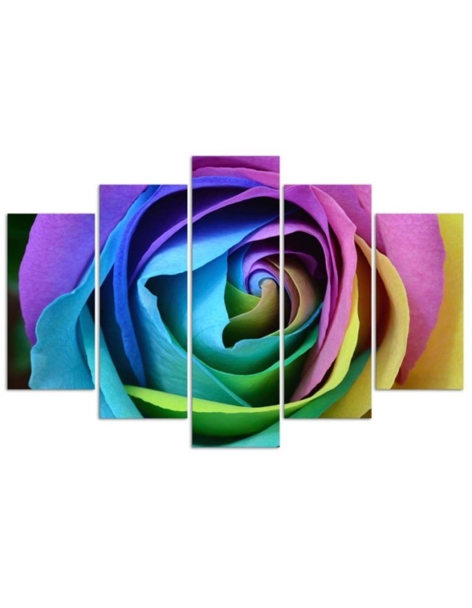 Colourful rose wall art painting for living room, bedroom | FEEBY