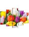 Colourful tulips modern canvas painting | FEEBY