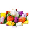 Colourful tulips modern canvas painting | FEEBY