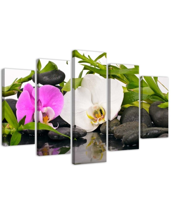 Canvas print Orchid Bamboo...