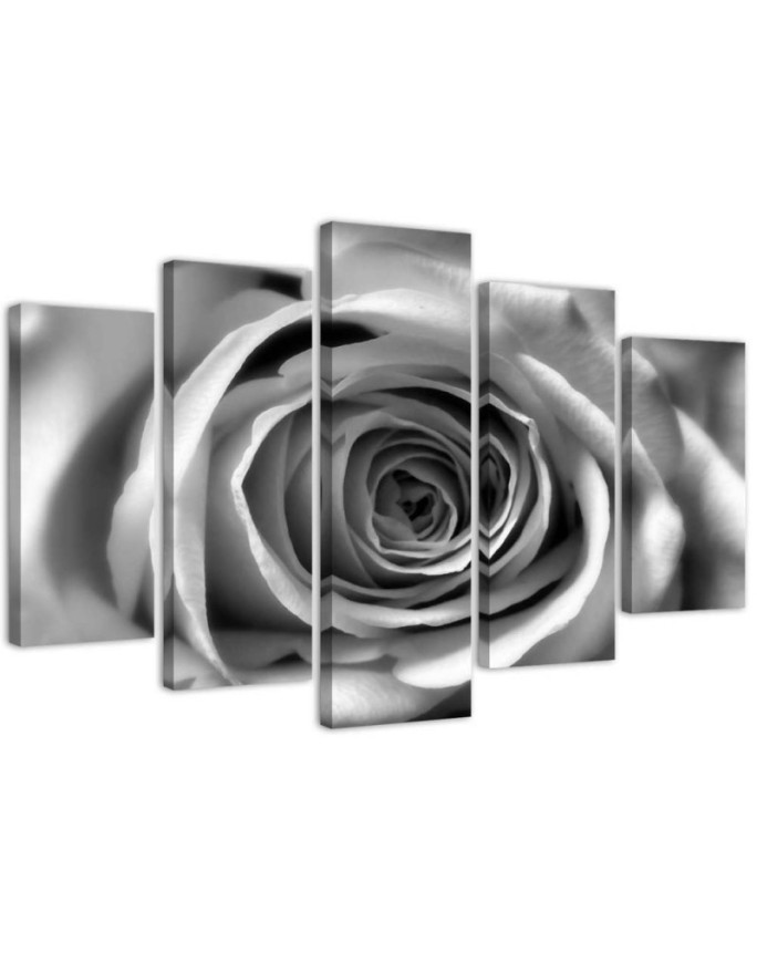 Rose flower black and white Canvas painting for living room wall | FEEBY