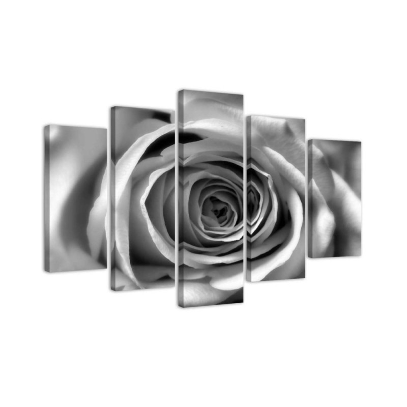 Rose flower black and white Canvas painting for living room wall | FEEBY