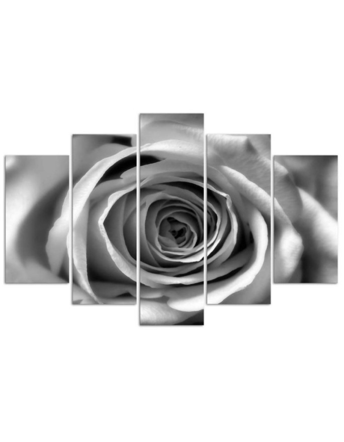 Rose flower black and white Canvas painting for living room wall | FEEBY