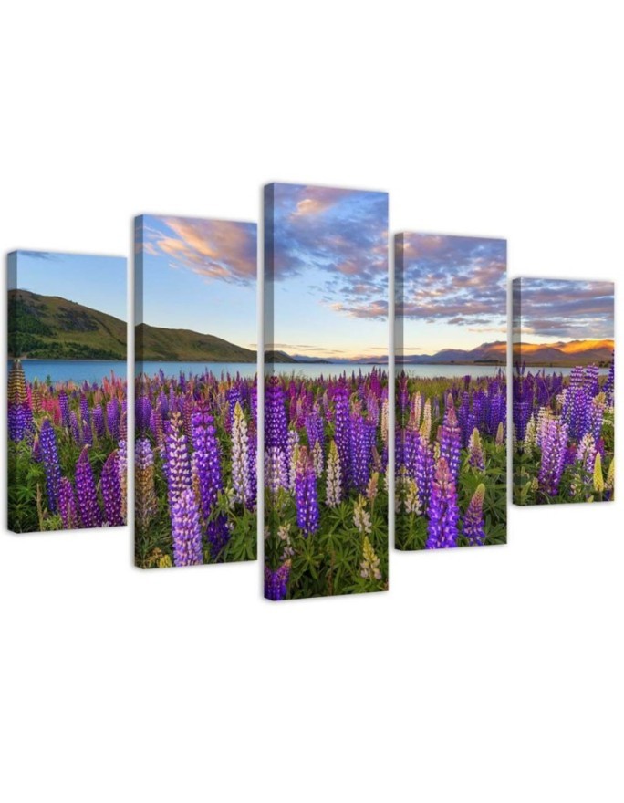 Canvas print 5 parts Field of lavender flowers for living room wall | FEEBY