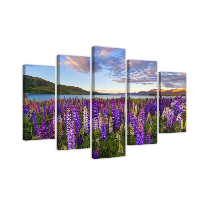 Canvas print 5 parts Field of lavender flowers for living room wall | FEEBY