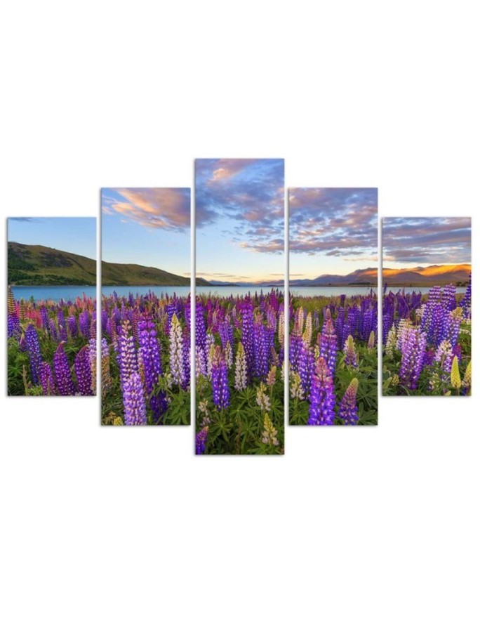 Canvas print 5 parts Field of lavender flowers for living room wall | FEEBY