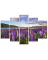 Canvas print 5 parts Field of lavender flowers for living room wall | FEEBY