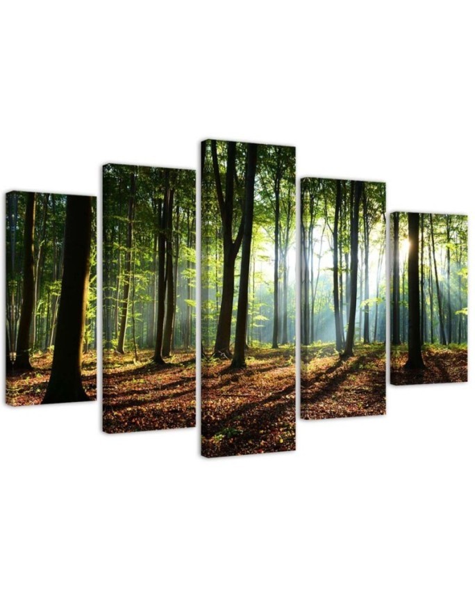 Canvas print modern Sunshine in the forest for office, living room | FEEBY
