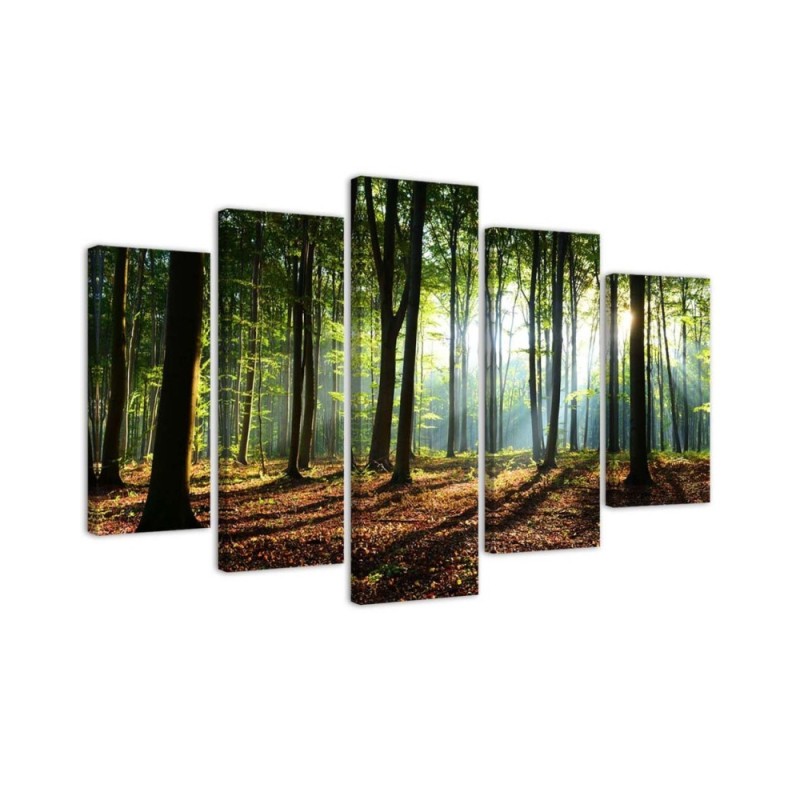 Canvas print modern Sunshine in the forest for office, living room | FEEBY