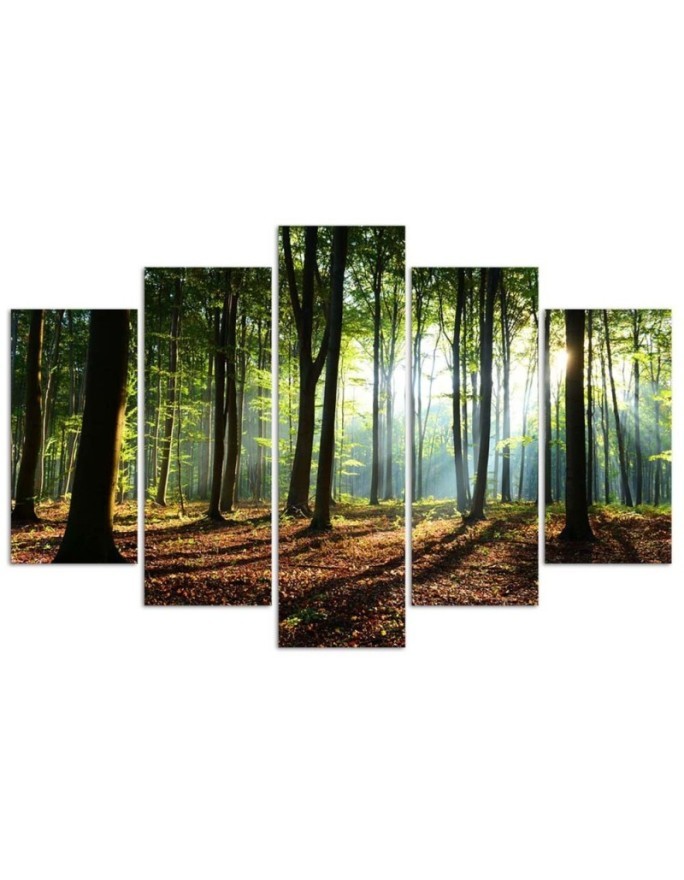Canvas print modern Sunshine in the forest for office, living room | FEEBY