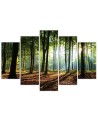 Canvas print modern Sunshine in the forest for office, living room | FEEBY