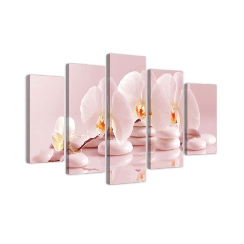 5 Piece Canvas painting Orchid on stones pink for living room | FEEBY
