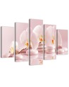 5 Piece Canvas painting Orchid on stones pink for living room | FEEBY