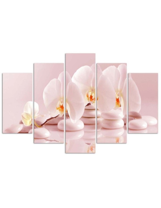 5 Piece Canvas painting Orchid on stones pink for living room | FEEBY