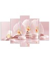 5 Piece Canvas painting Orchid on stones pink for living room | FEEBY